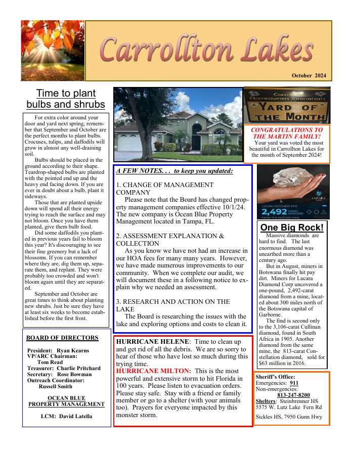 First page of the October 2024 Newsletter