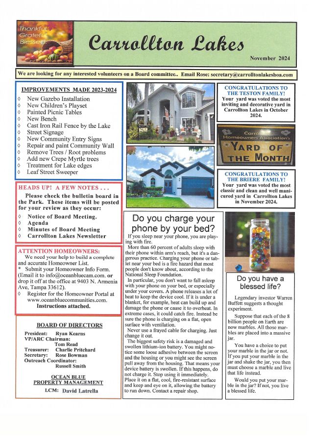 First page of the November 2024 Newsletter