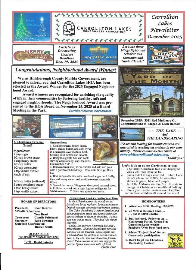 First page of the December 2025 Newsletter