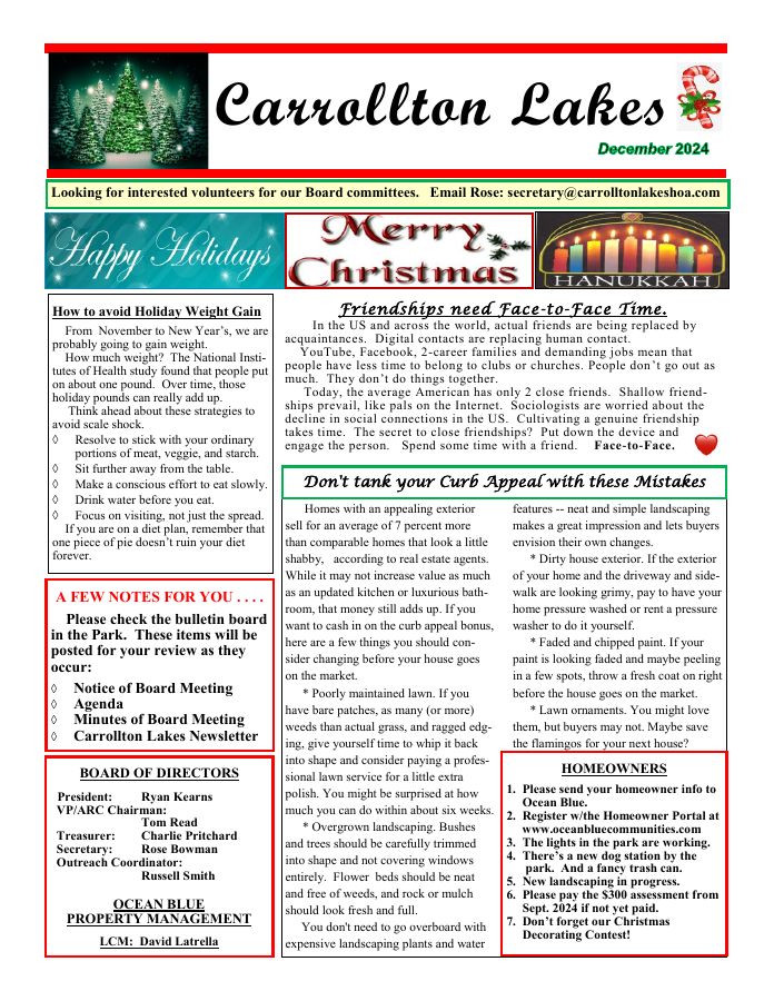 First page of the December 2024 Newsletter